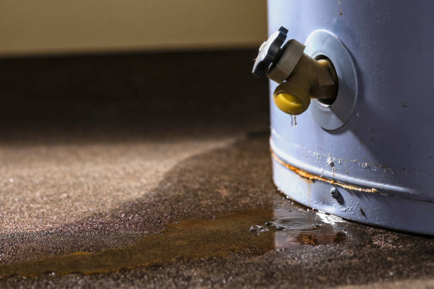 Best 24/7 water damage repair  in Mystic Island, NJ