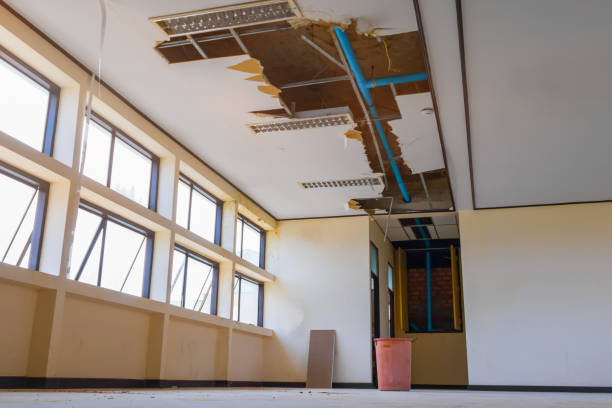 Best Water damage cleanup near me  in Mystic Island, NJ