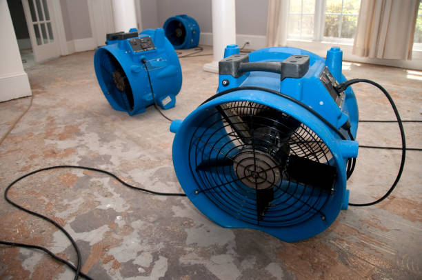 Best 24-hour water damage restoration  in Mystic Island, NJ