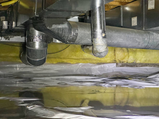 Best Carpet water damage restoration  in Mystic Island, NJ