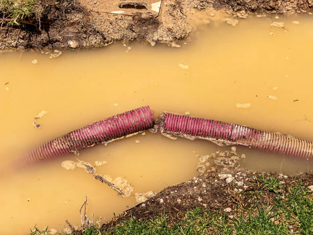 Best Basement water damage restoration  in Mystic Island, NJ