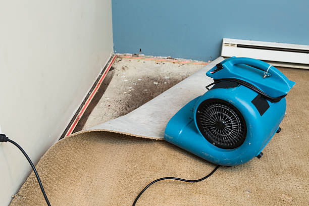 Professional Water damage restoration in NJ